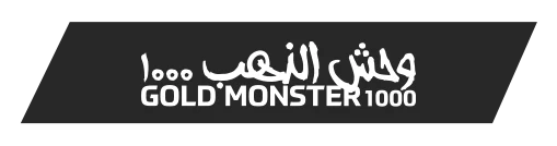 Giresun Minelab Gold Monster 1000 - Gold Monster 1000 küçük altın dedektörü